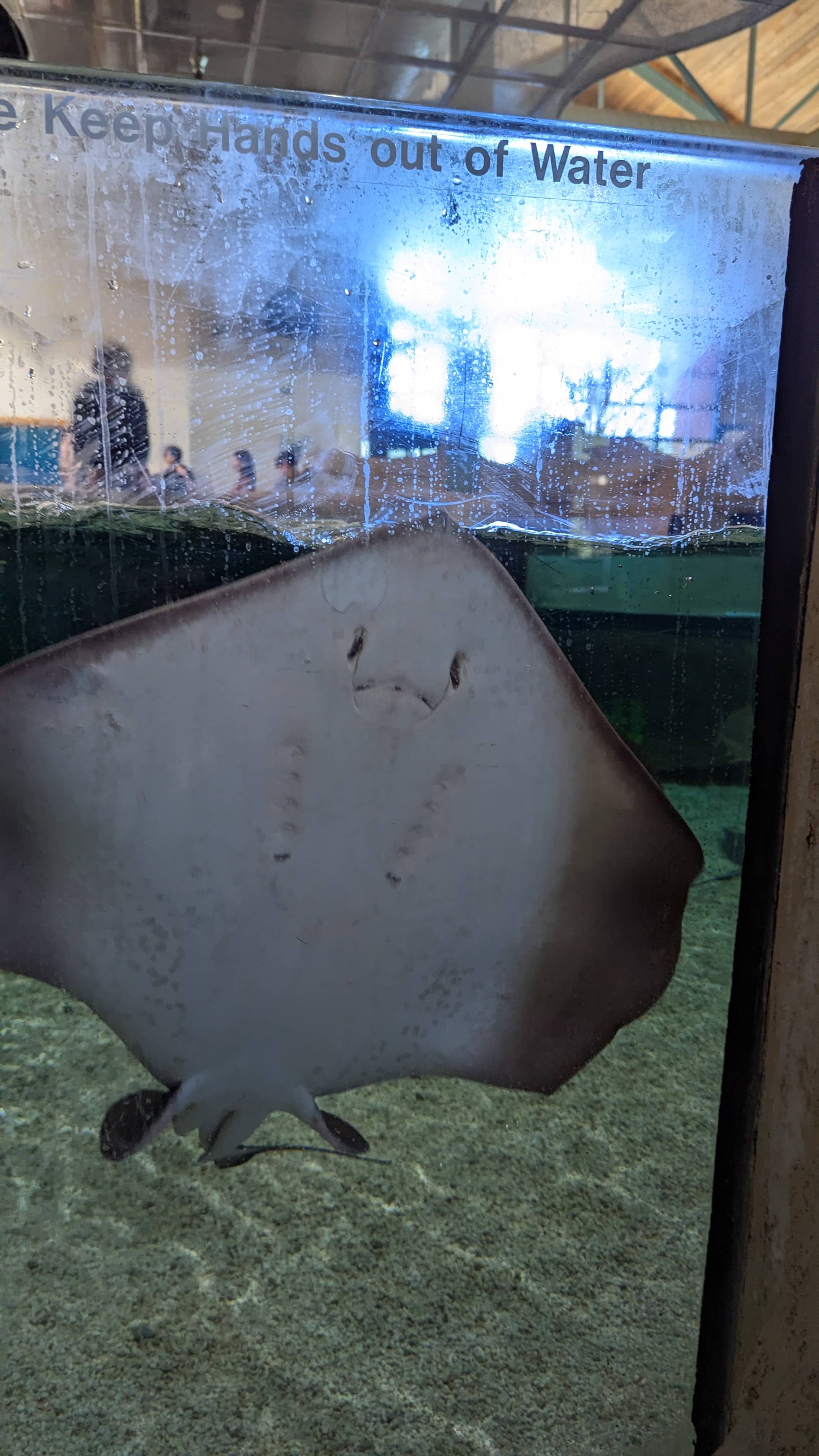 Family at the Aquarium